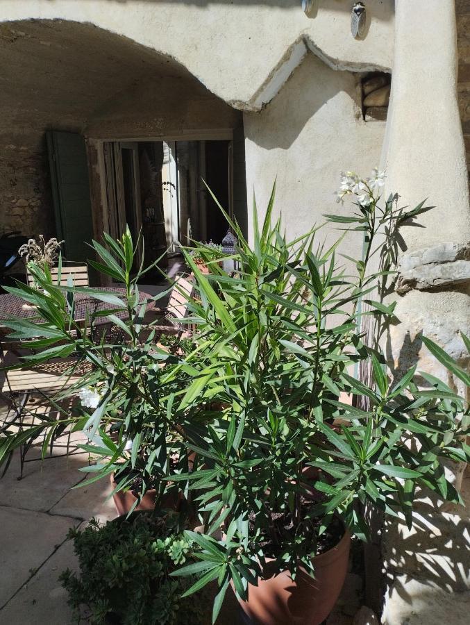 Chez Les Filles Bed & Breakfast Dions Dış mekan fotoğraf