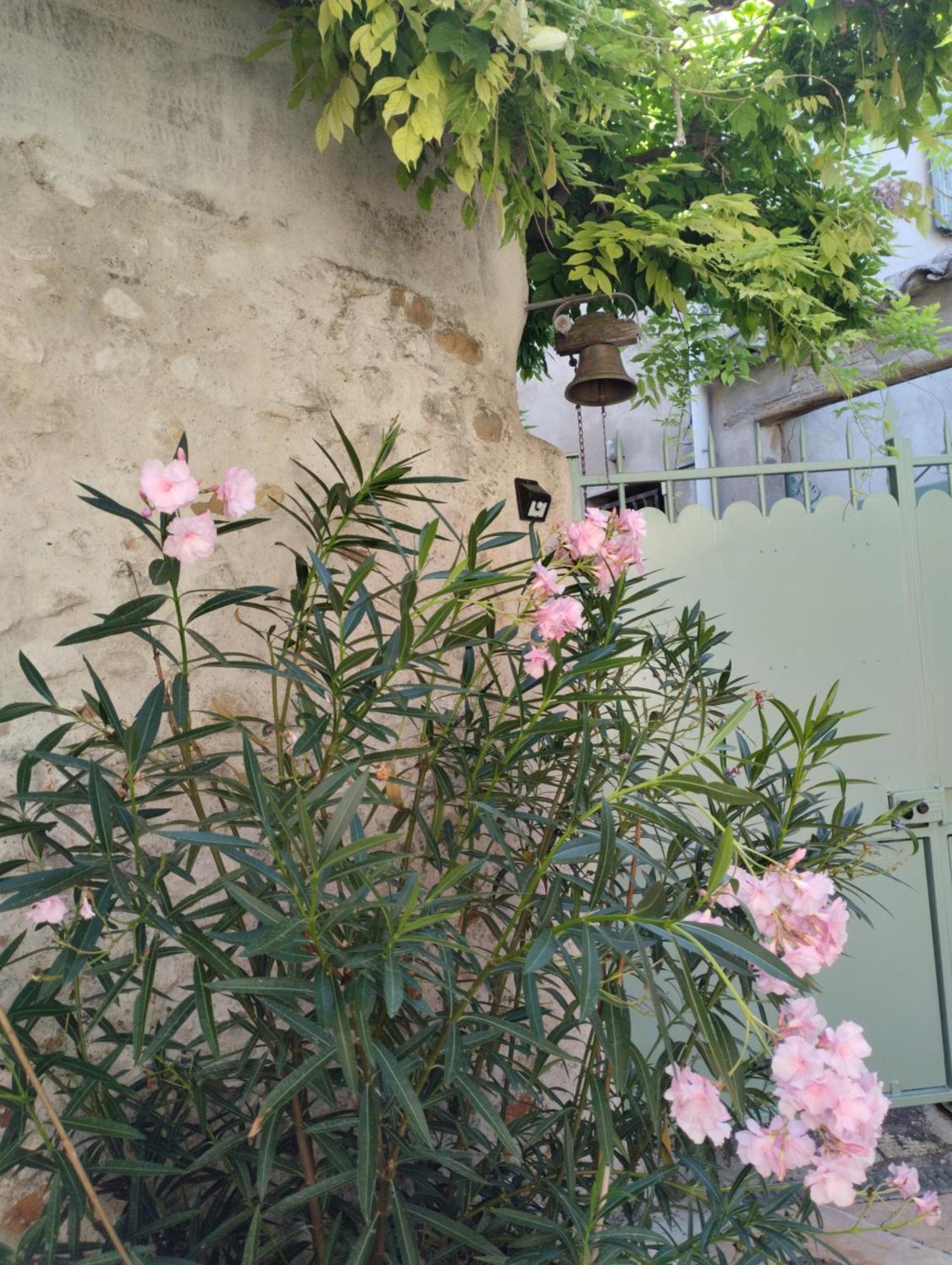Chez Les Filles Bed & Breakfast Dions Dış mekan fotoğraf