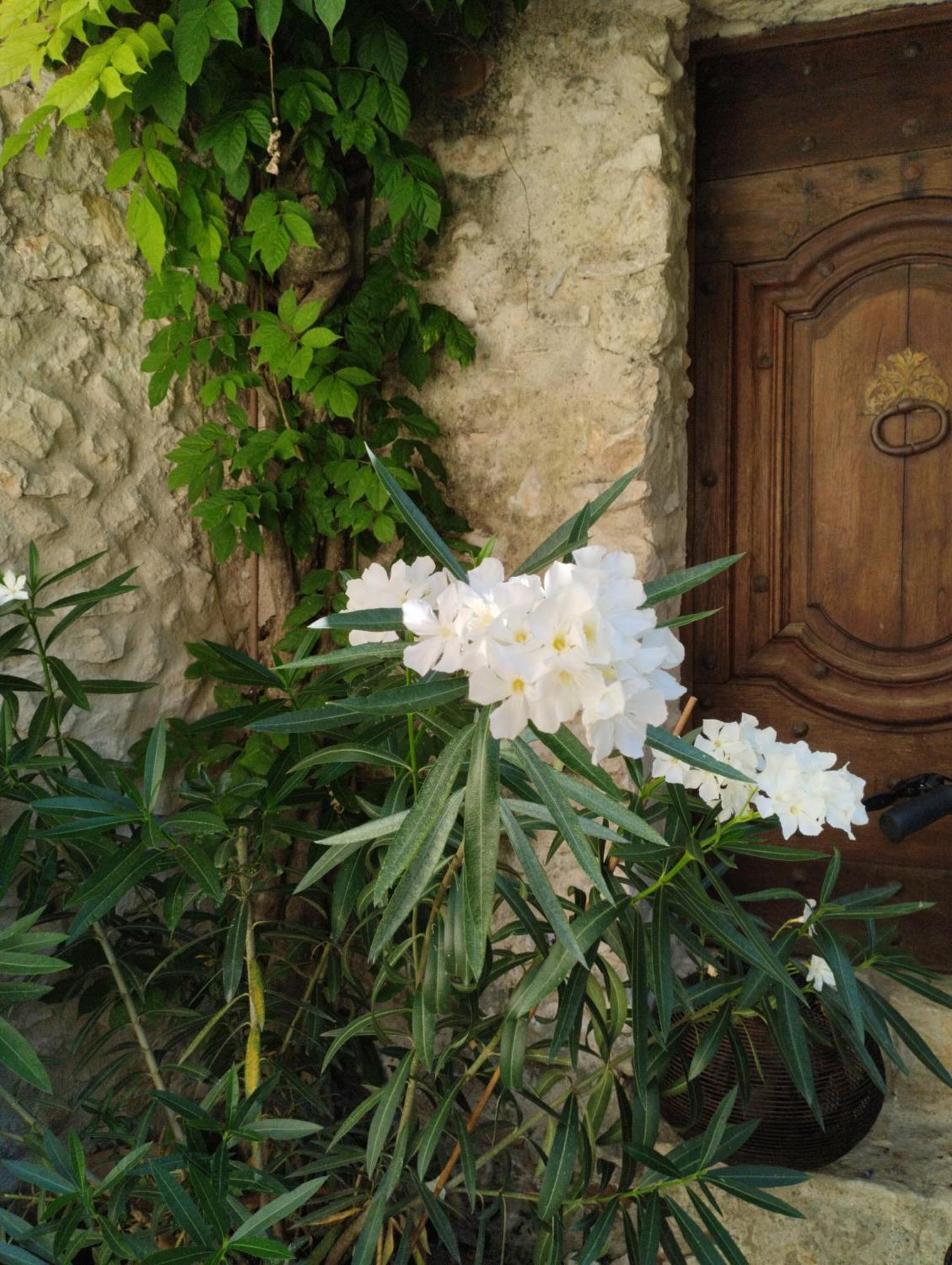 Chez Les Filles Bed & Breakfast Dions Dış mekan fotoğraf