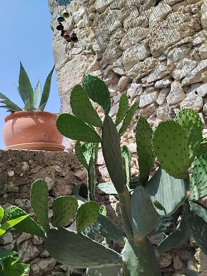 Chez Les Filles Bed & Breakfast Dions Dış mekan fotoğraf